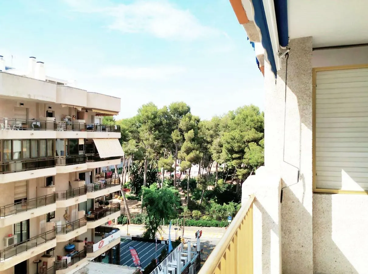 Apartsalou Argenta Apartment Spain